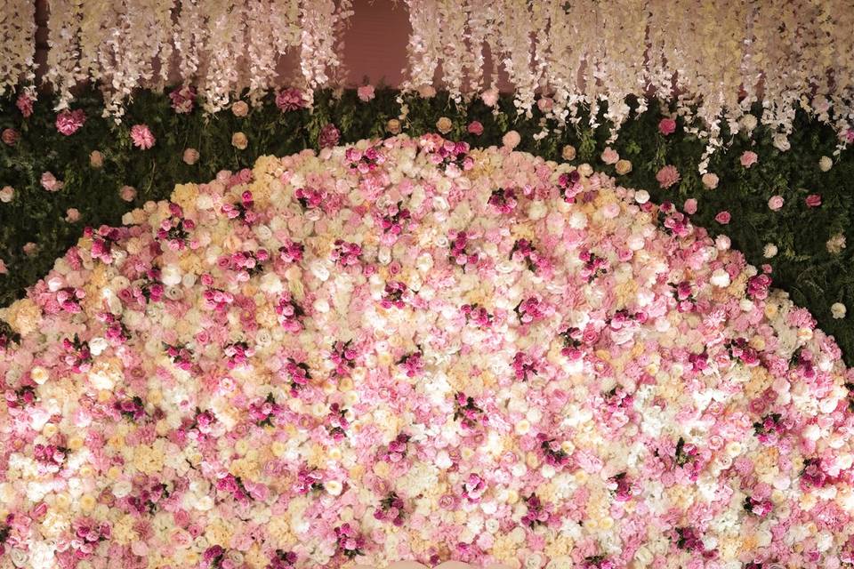 The Camellia Events