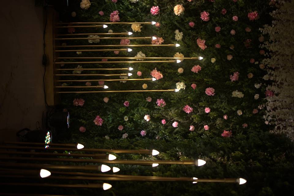 The Camellia Events