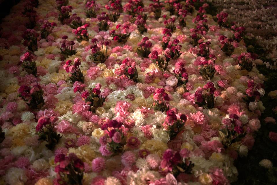 The Camellia Events