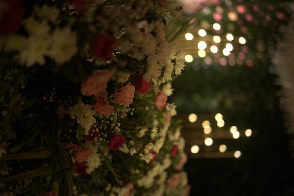 The Camellia Events
