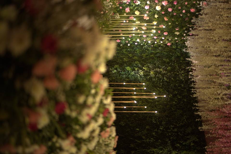 The Camellia Events
