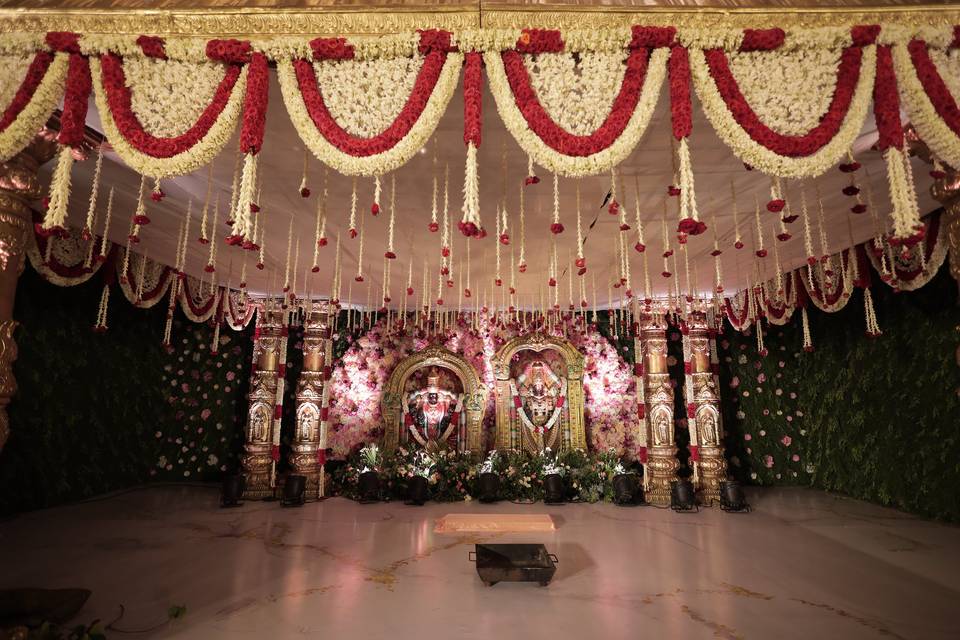 The Camellia Events