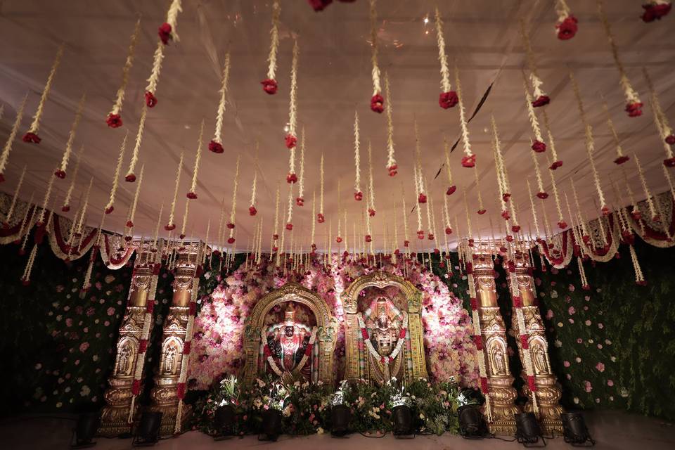 The Camellia Events