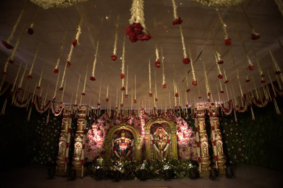 The Camellia Events