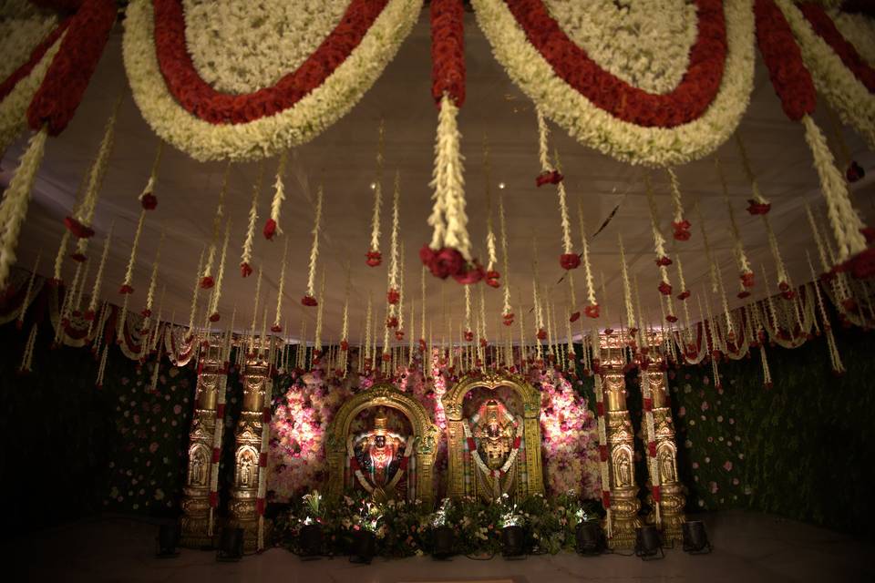 The Camellia Events