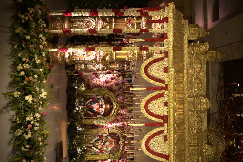 The Camellia Events