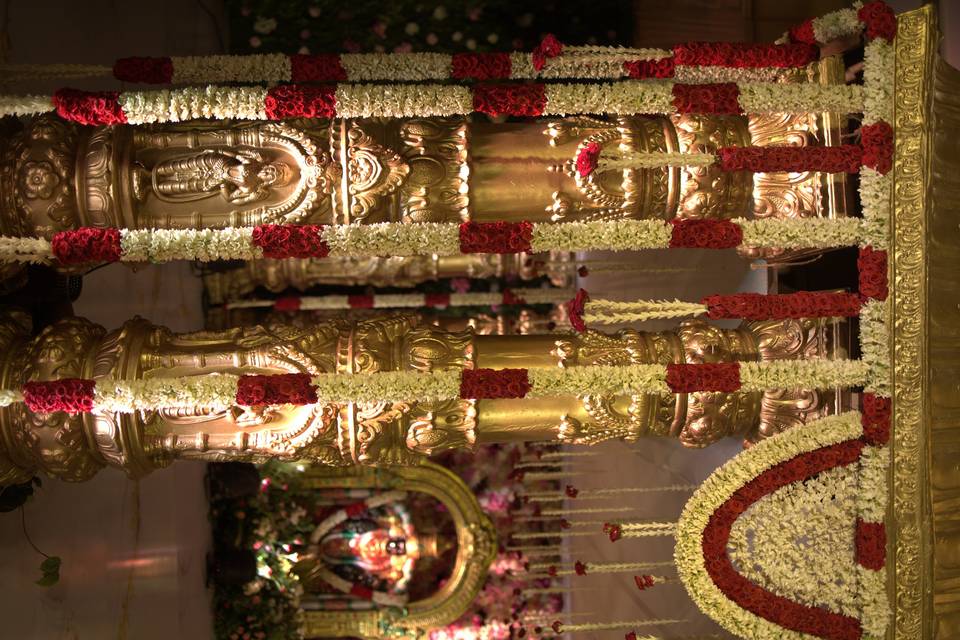 The Camellia Events