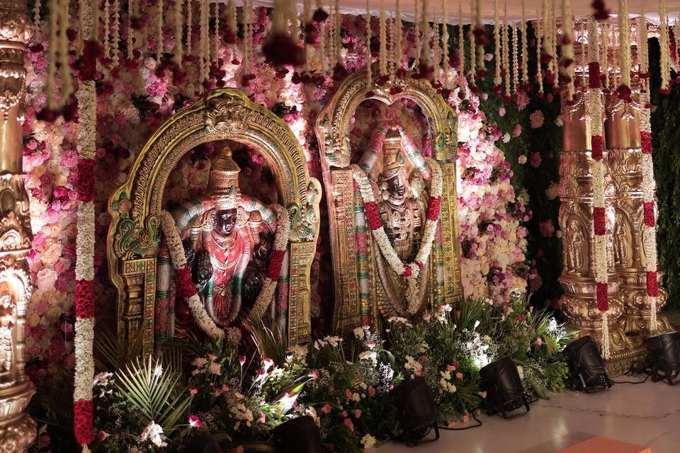 The Camellia Events