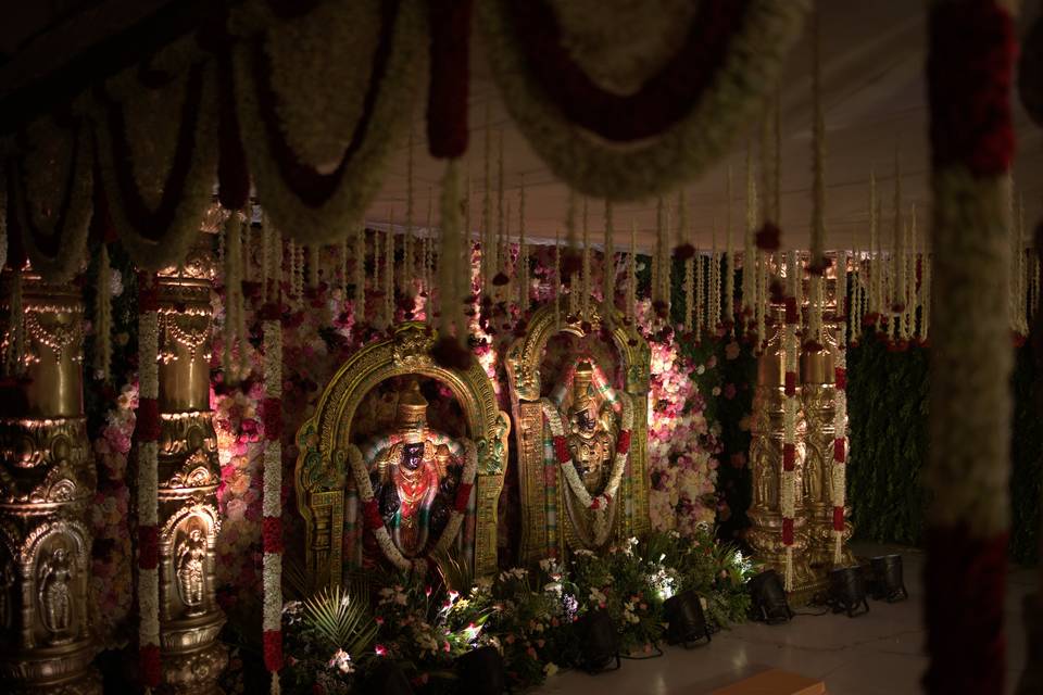 The Camellia Events