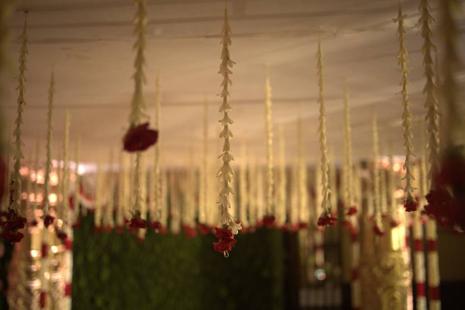 The Camellia Events