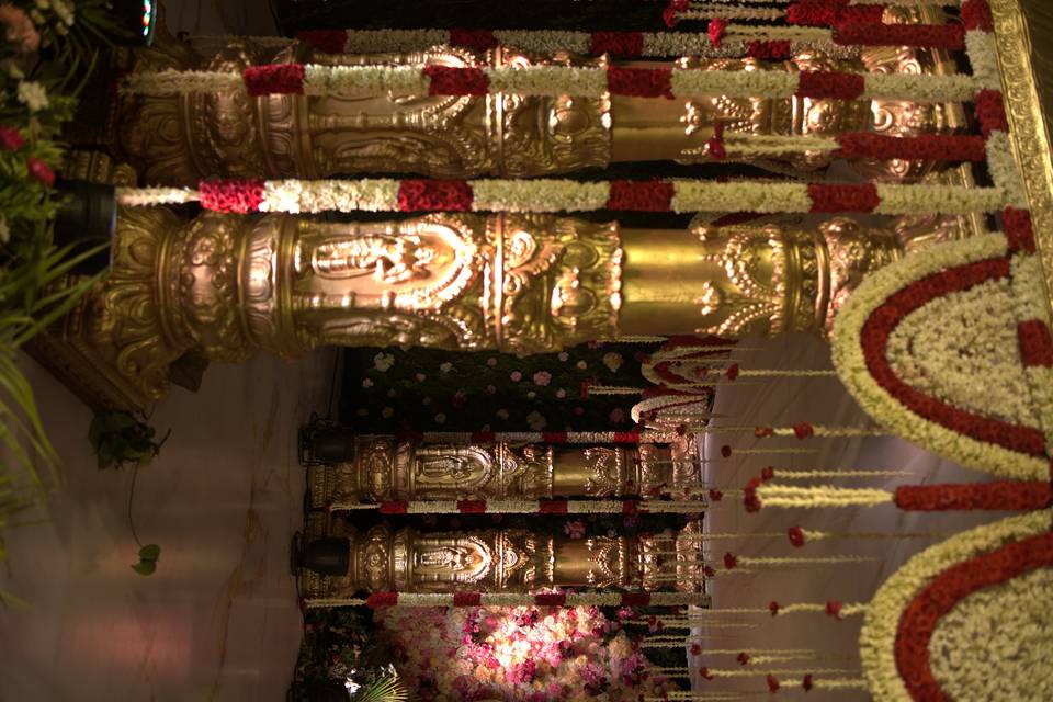 The Camellia Events