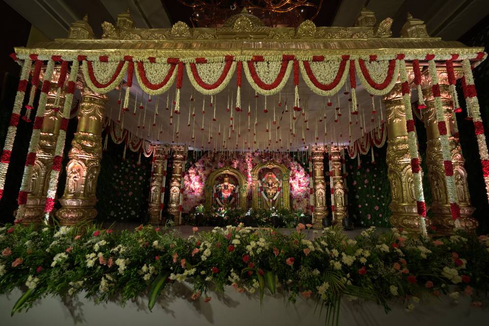 The Camellia Events