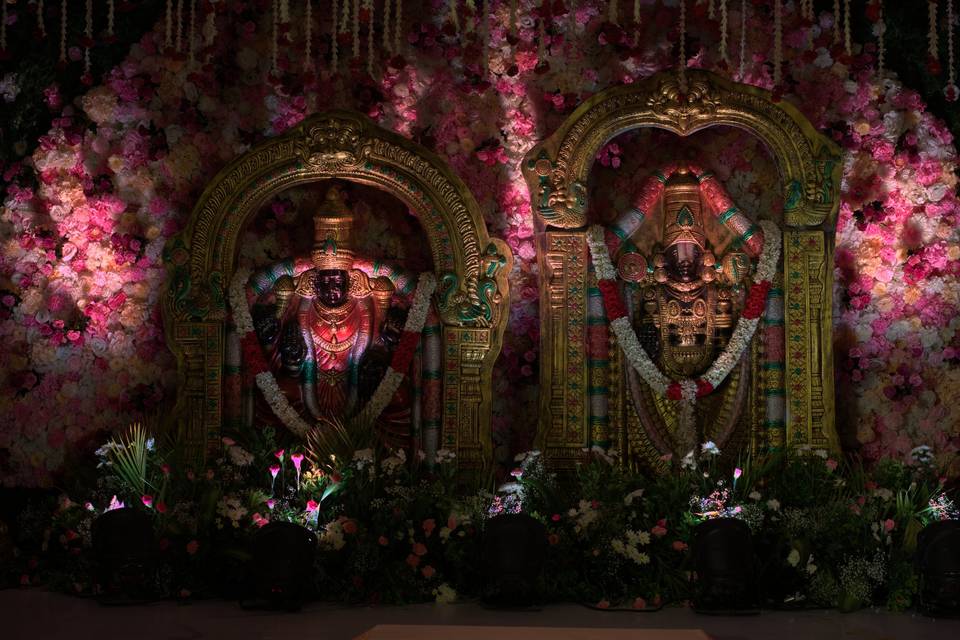 The Camellia Events