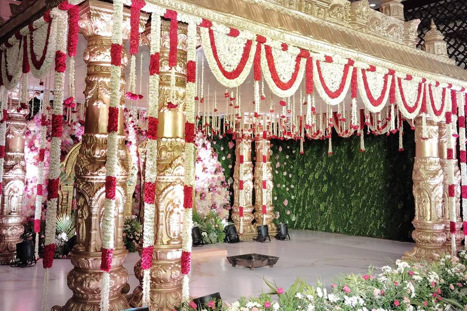 The Camellia Events