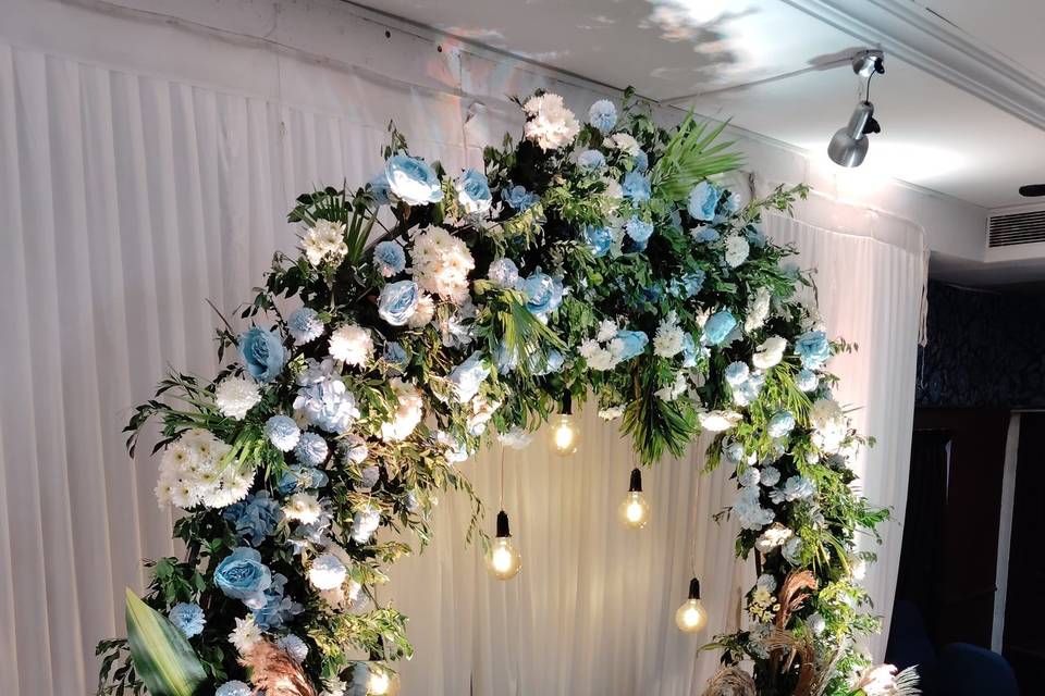 The Camellia Events