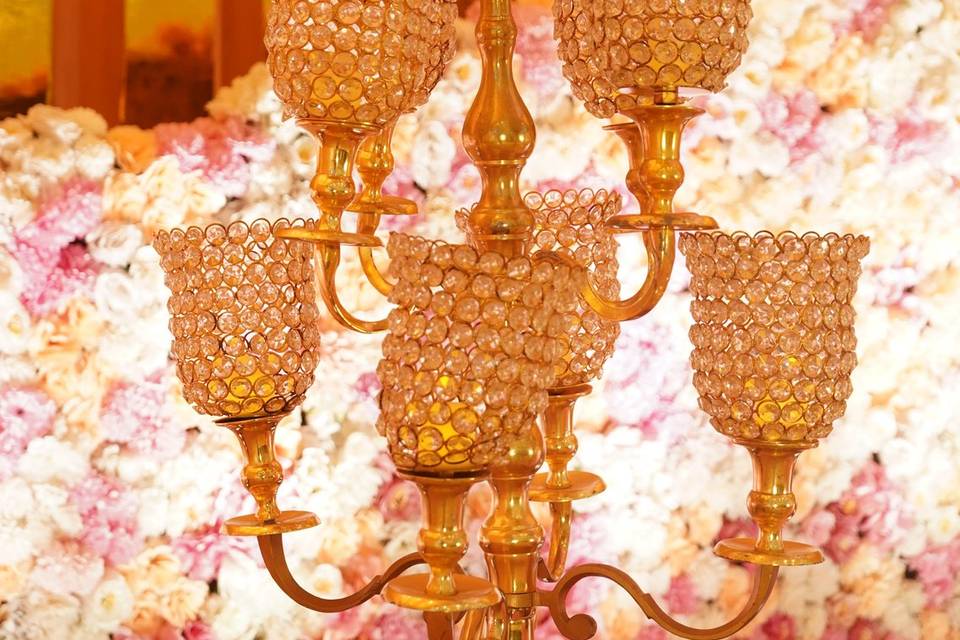 The Camellia Events