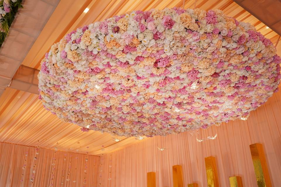 The Camellia Events