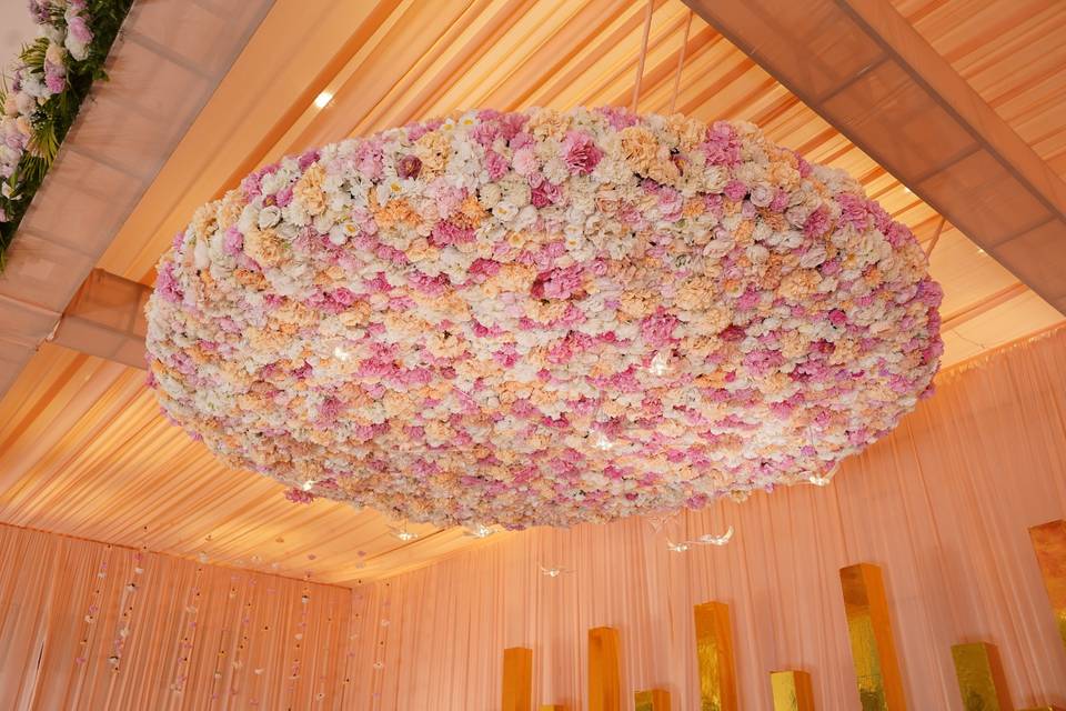 The Camellia Events