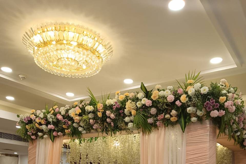 The Camellia Events