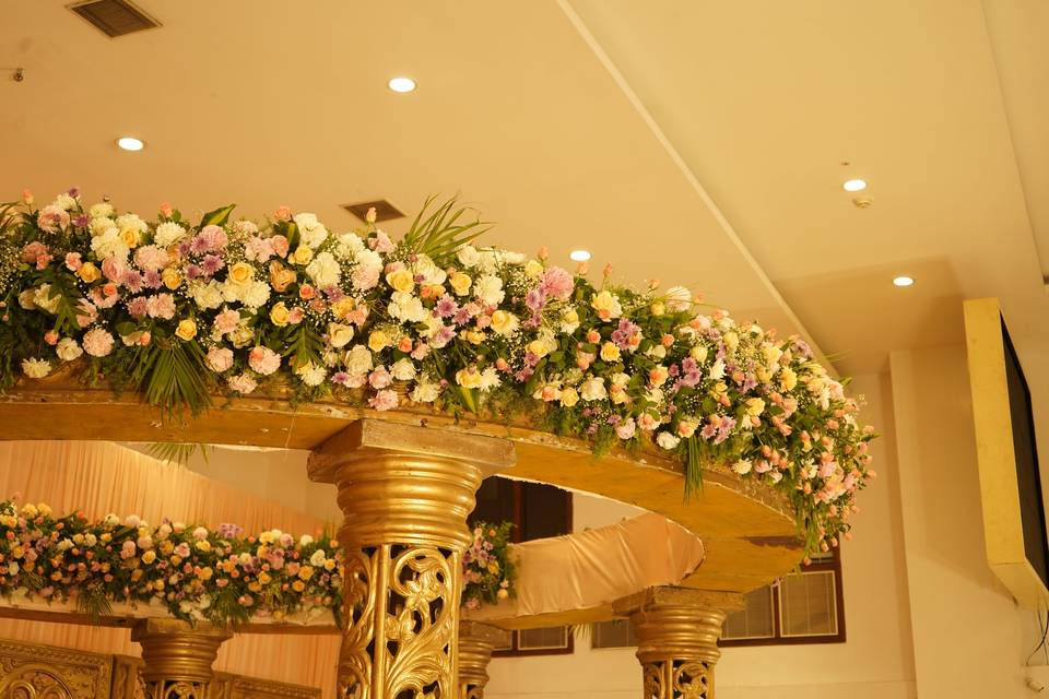 The Camellia Events