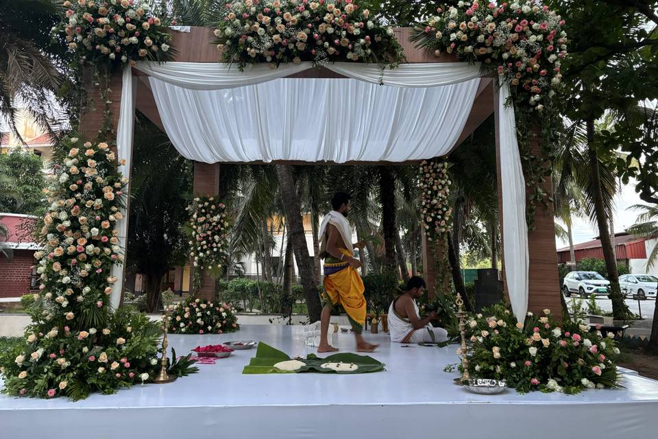 The Camellia Events