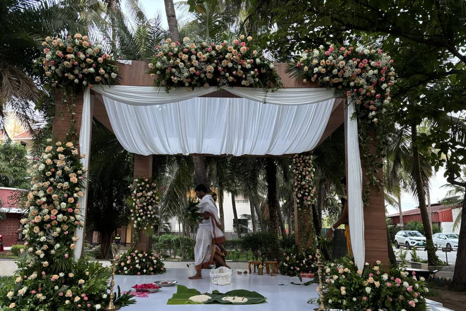 The Camellia Events