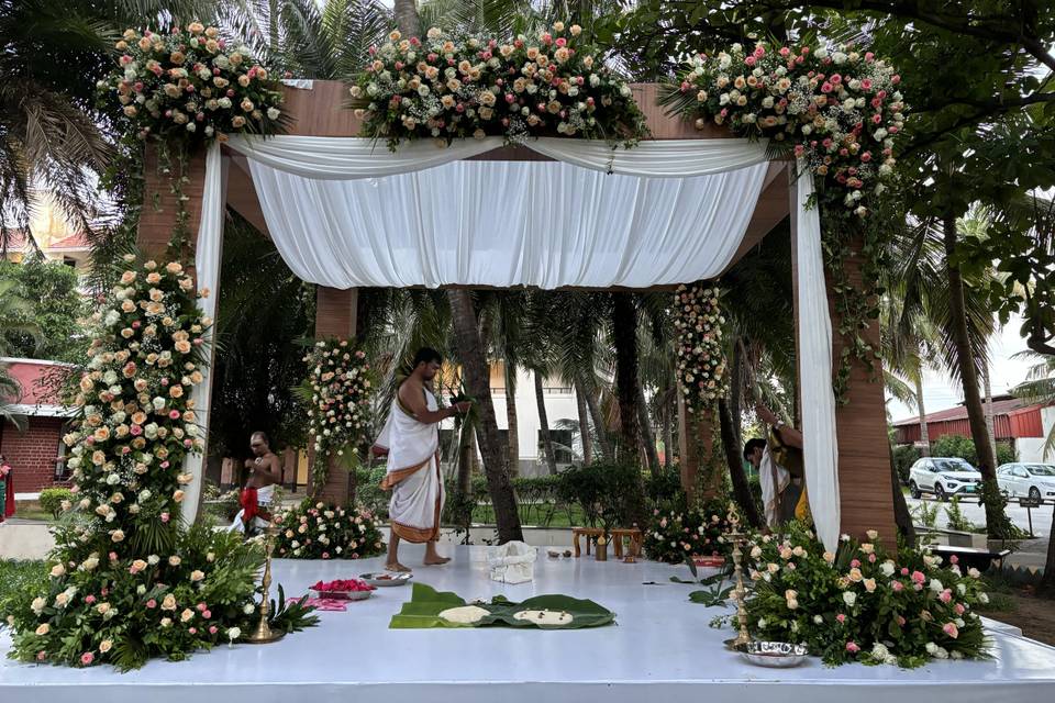 The Camellia Events