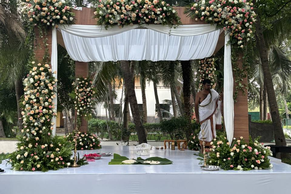 The Camellia Events