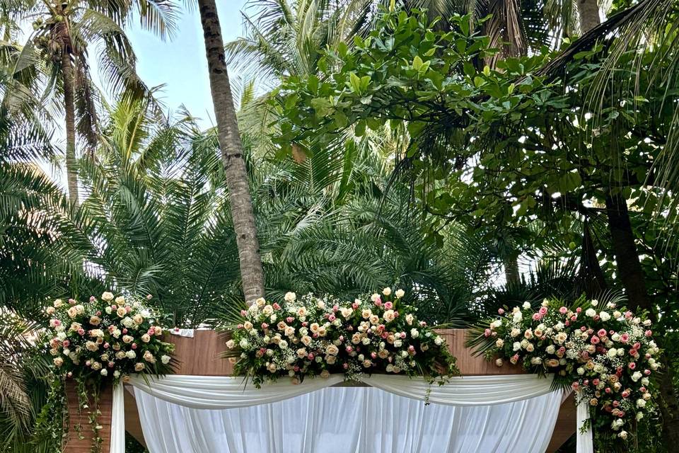 The Camellia Events
