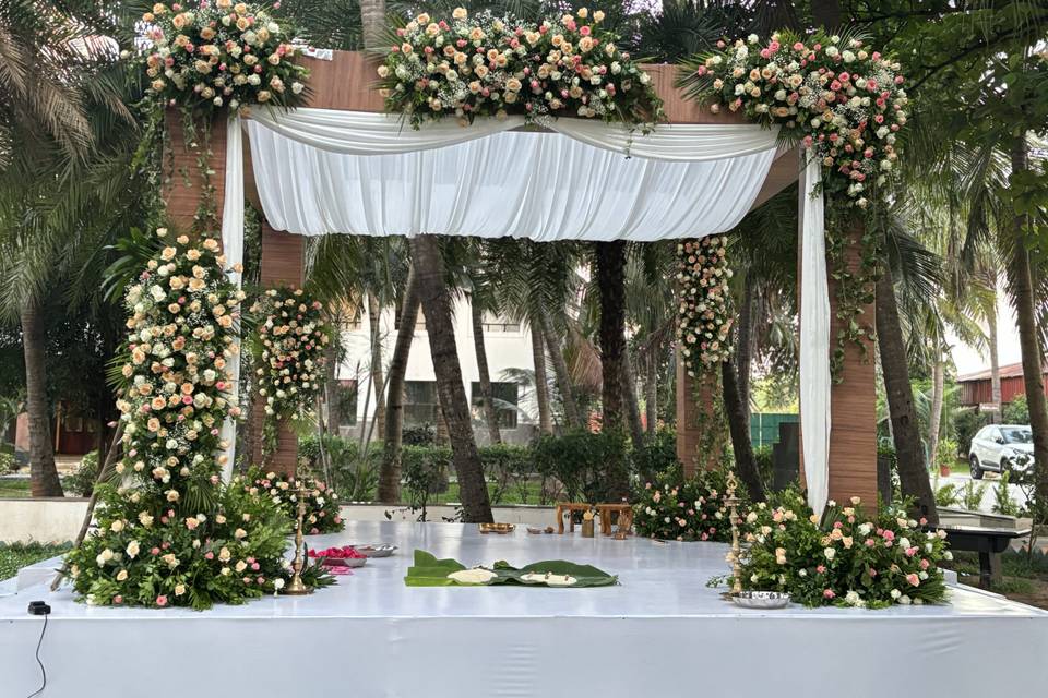 The Camellia Events