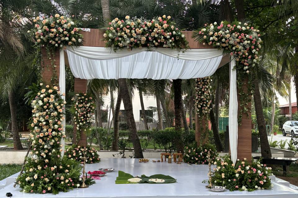 The Camellia Events