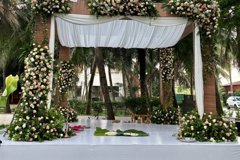 The Camellia Events