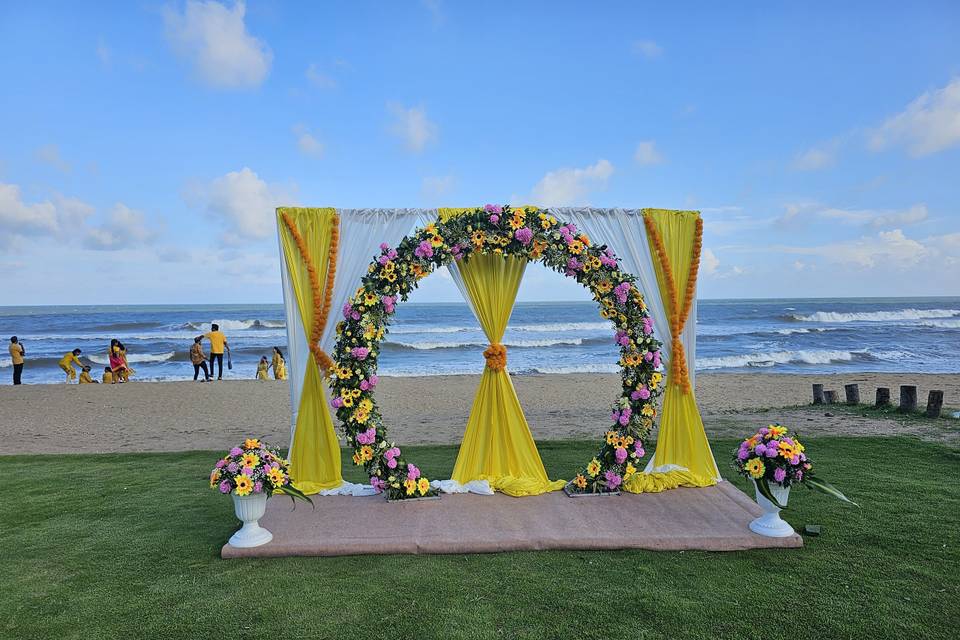 The Camellia Events