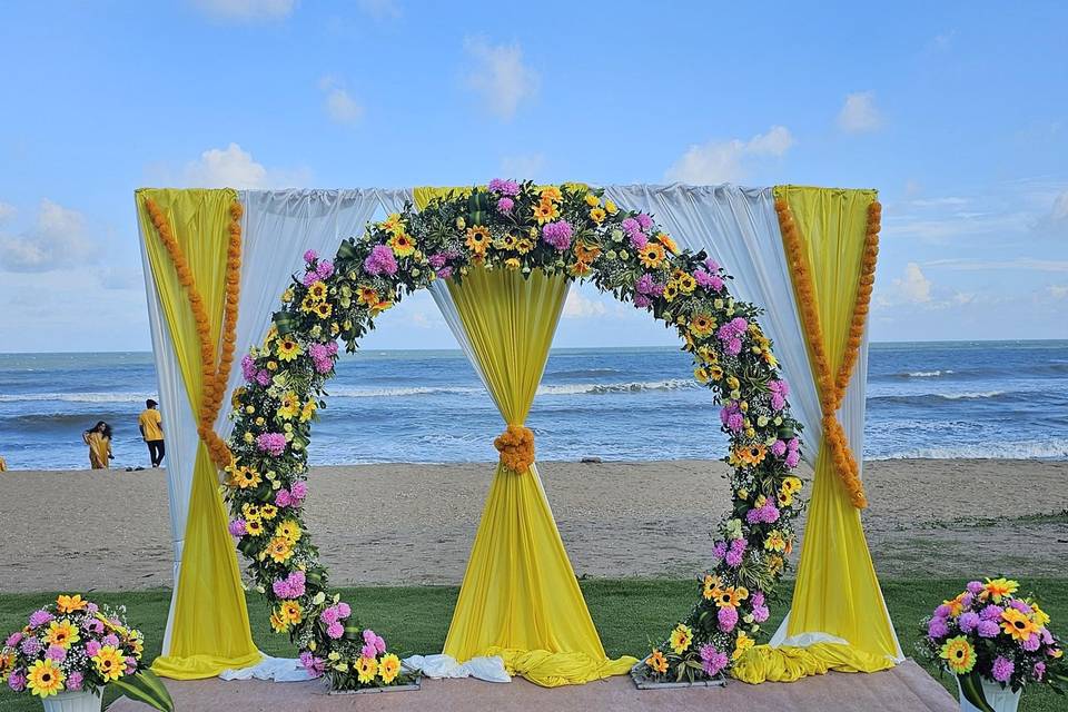 The Camellia Events