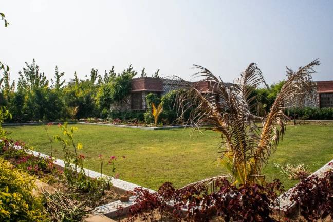 Lawn area