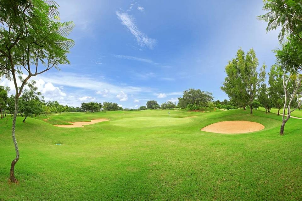 Lawn area