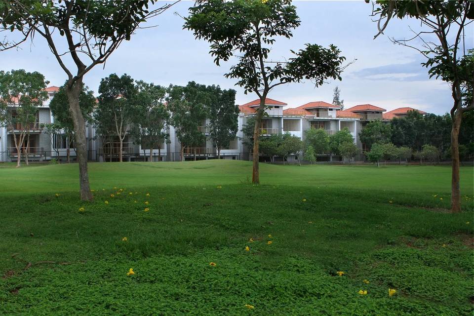 Lawn area