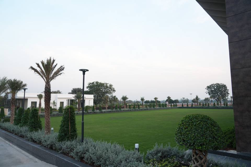 Lawn area