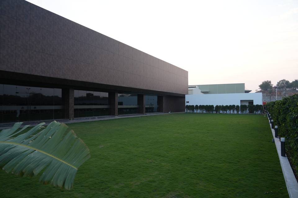 Lawn area