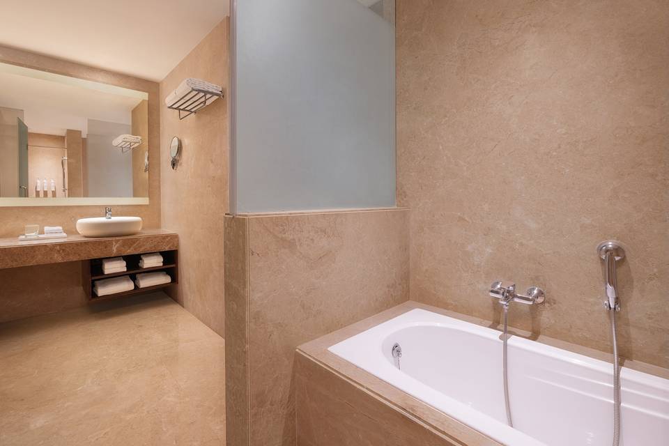 Suite Room Washroom