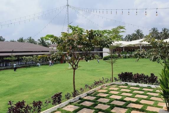 Lawn area