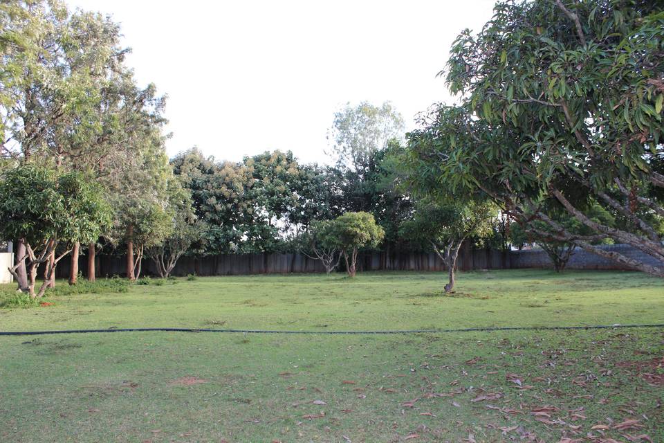 Lawn