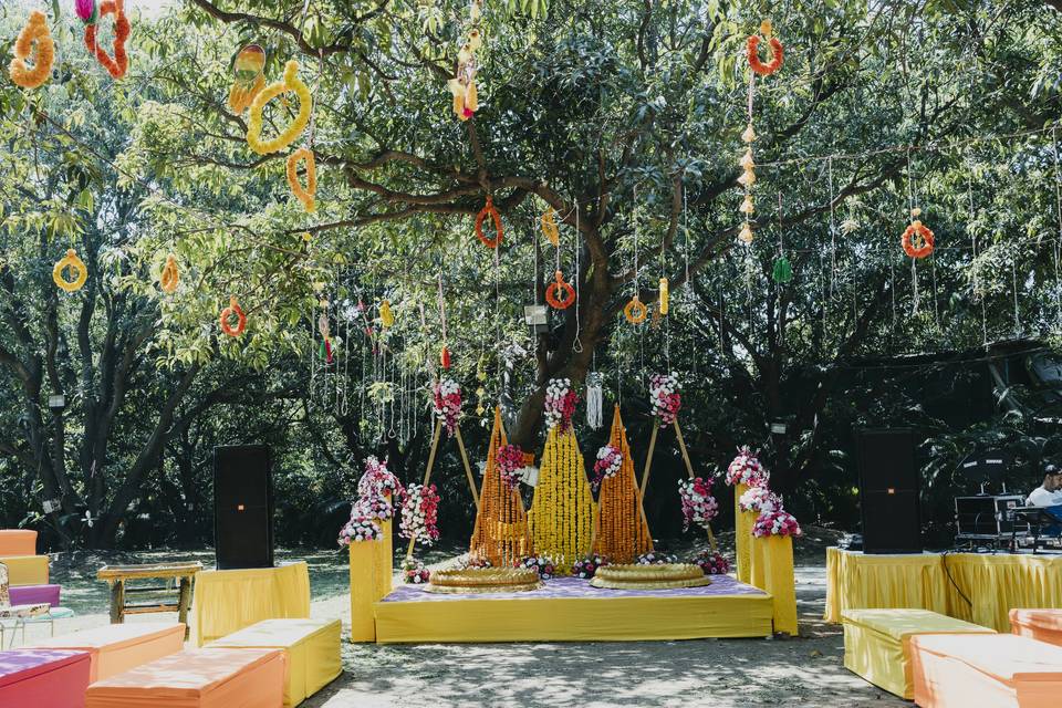 Haldi stage