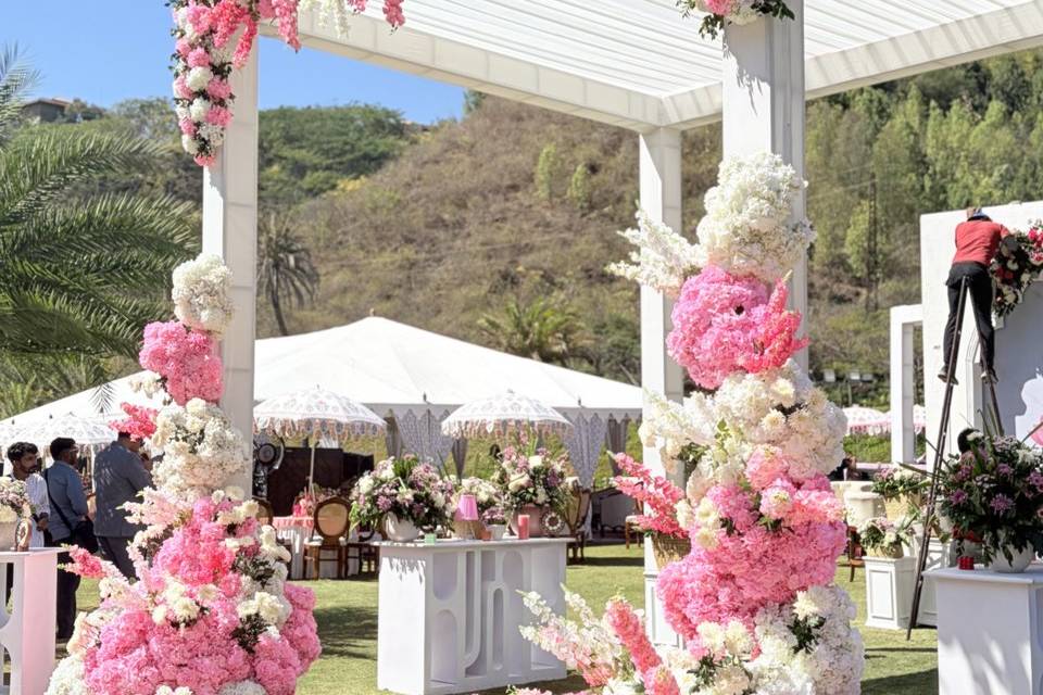 Tirupati Wedding Designer portfolio