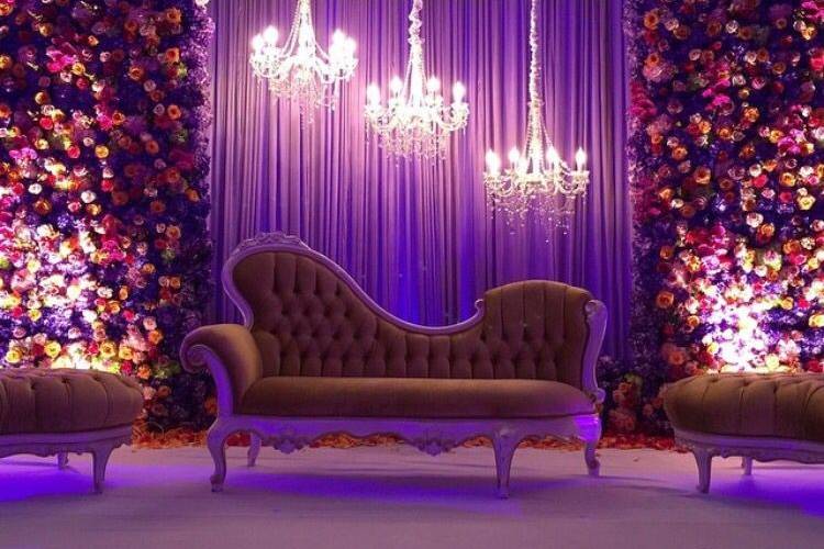 Purple dim reception