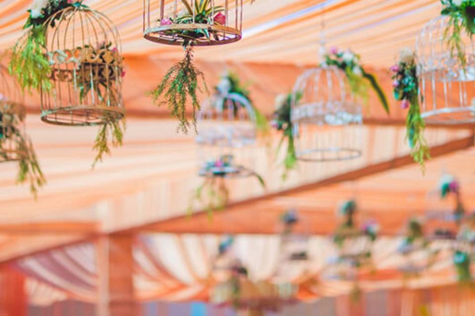 Decor props