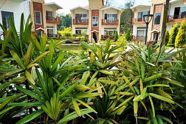 Open lawn