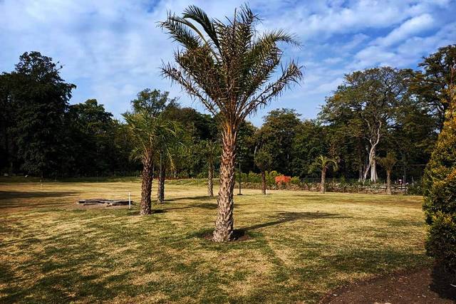 Open lawn