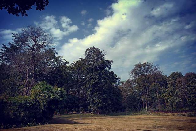 Open lawn