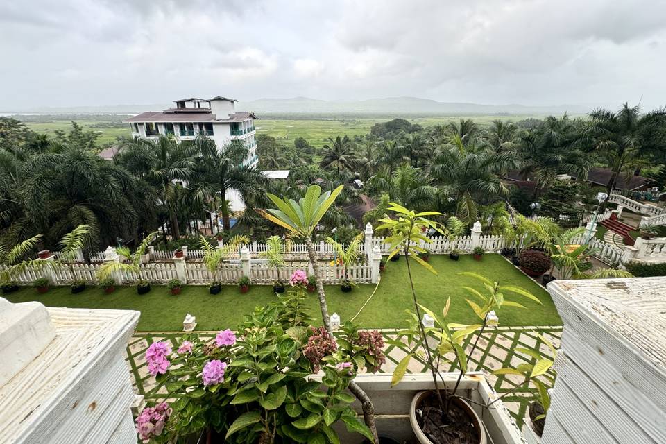 Lawn area
